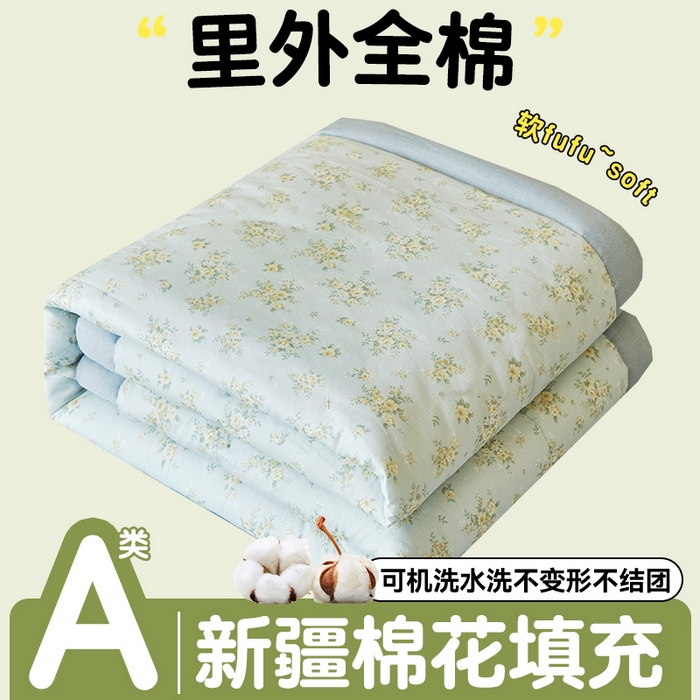 恬思语家纺 2026春夏新款里外全棉印花棉花夏被空调被夏凉被夏被四件套 沁香-兰