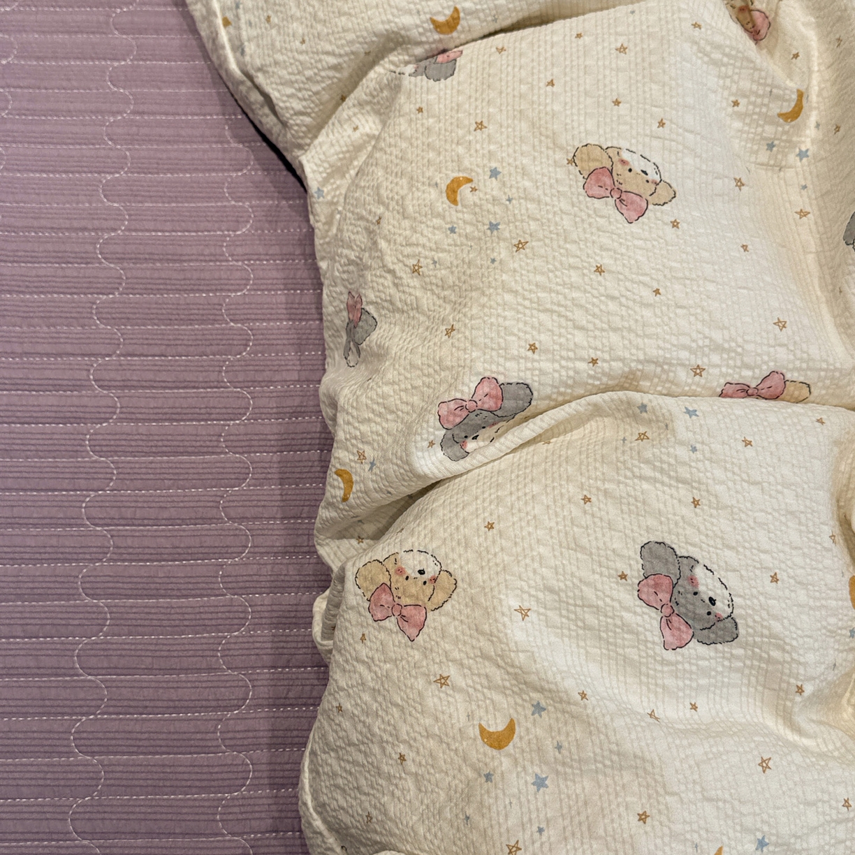 91家纺网 家纺一手货源 找家纺 富米莱（原臻工厂） 2026新款云感泡芙棉小清新印花简约床盖床裙四件套一小红书推荐 简约-星月狗狗