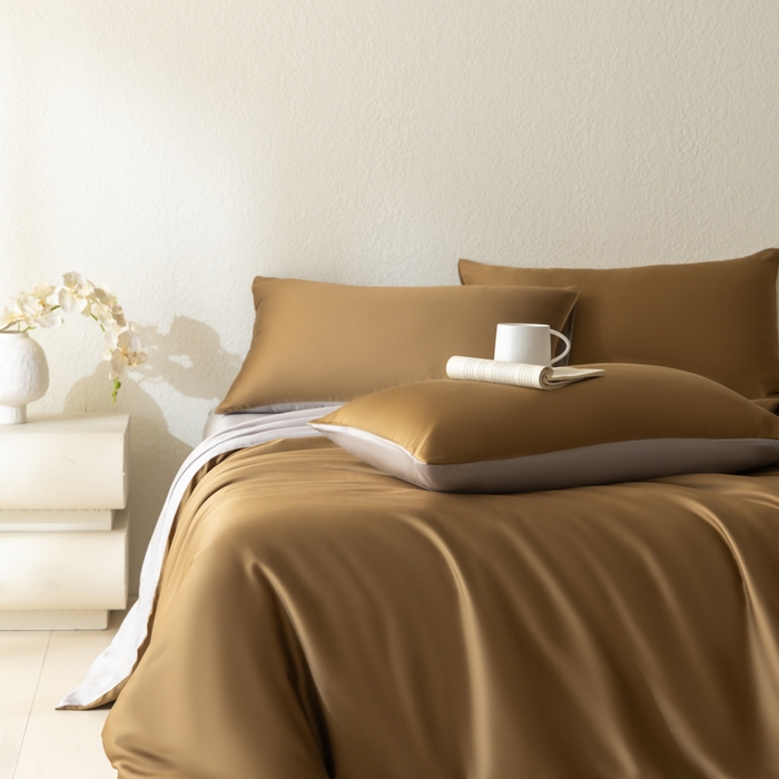 （总）禾时 2026新款60支奥地利兰精双拼纯色天丝四件套