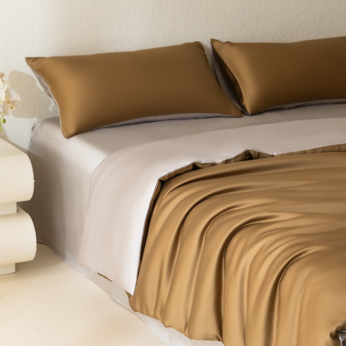 91家纺网 家纺一手货源 找家纺 禾时 2026新款60支奥地利兰精双拼纯色天丝四件套 敦煌色-曙光银