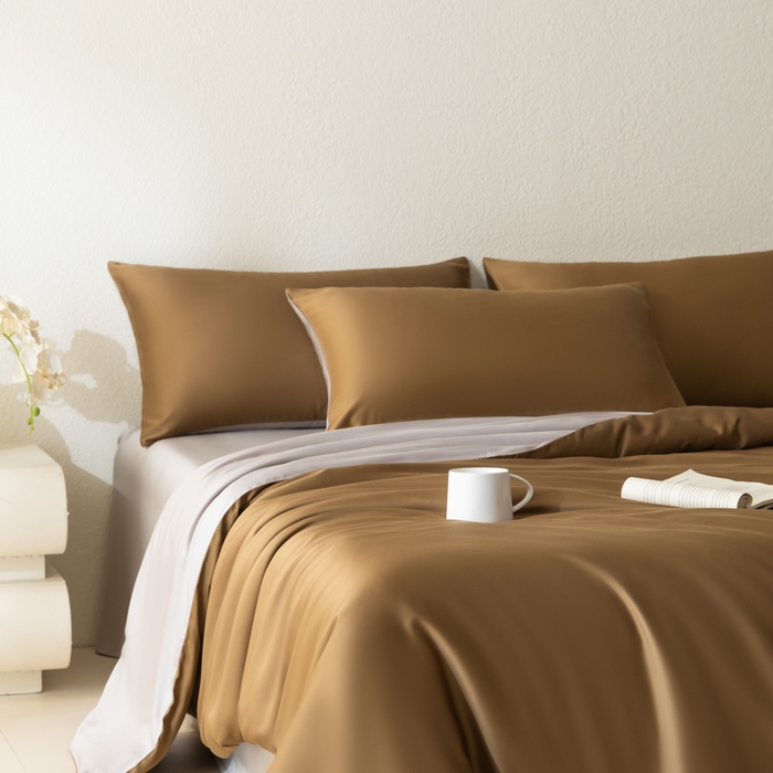 91家纺网 家纺一手货源 找家纺 禾时 2026新款60支奥地利兰精双拼纯色天丝四件套 敦煌色-曙光银