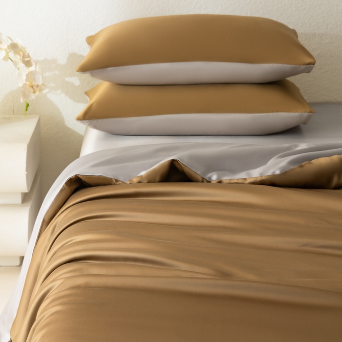 91家纺网 家纺一手货源 找家纺 禾时 2026新款60支奥地利兰精双拼纯色天丝四件套 敦煌色-曙光银