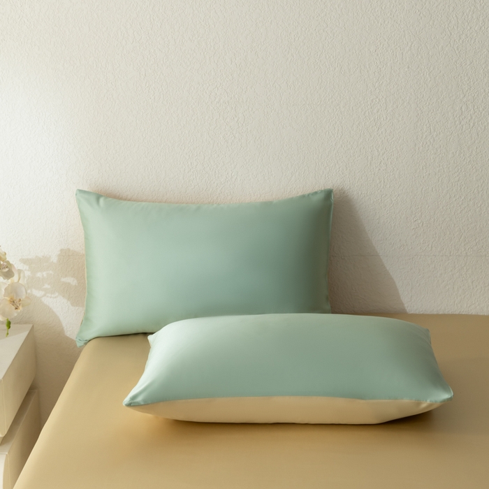 91家纺网 家纺一手货源 找家纺 禾时 2026新款60支奥地利兰精双拼纯色天丝四件套 浅艾绿-香槟金