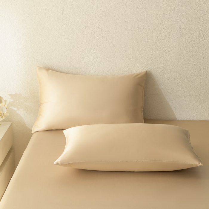 91家纺网 家纺一手货源 找家纺 禾时 2026新款60支奥地利兰精双拼纯色天丝四件套 沙茶色