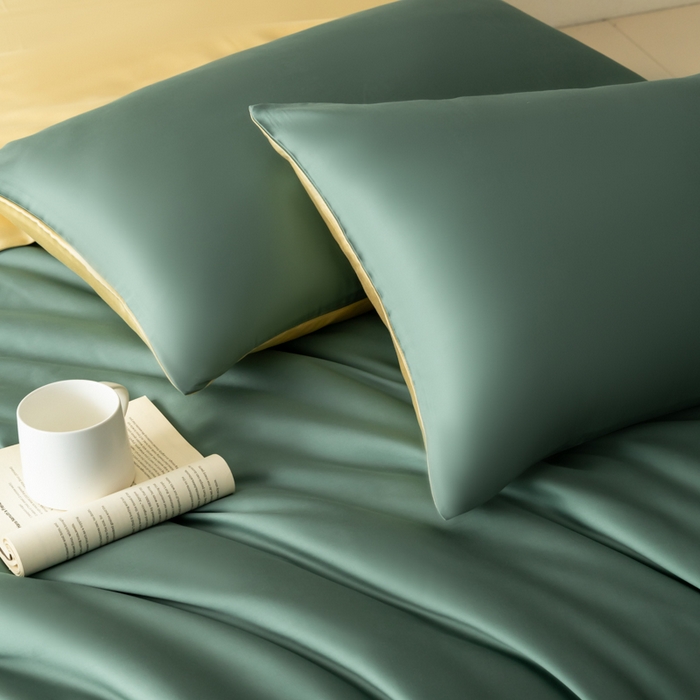 91家纺网 家纺一手货源 找家纺 禾时 2026新款60支奥地利兰精双拼纯色天丝四件套 天青色-香槟金