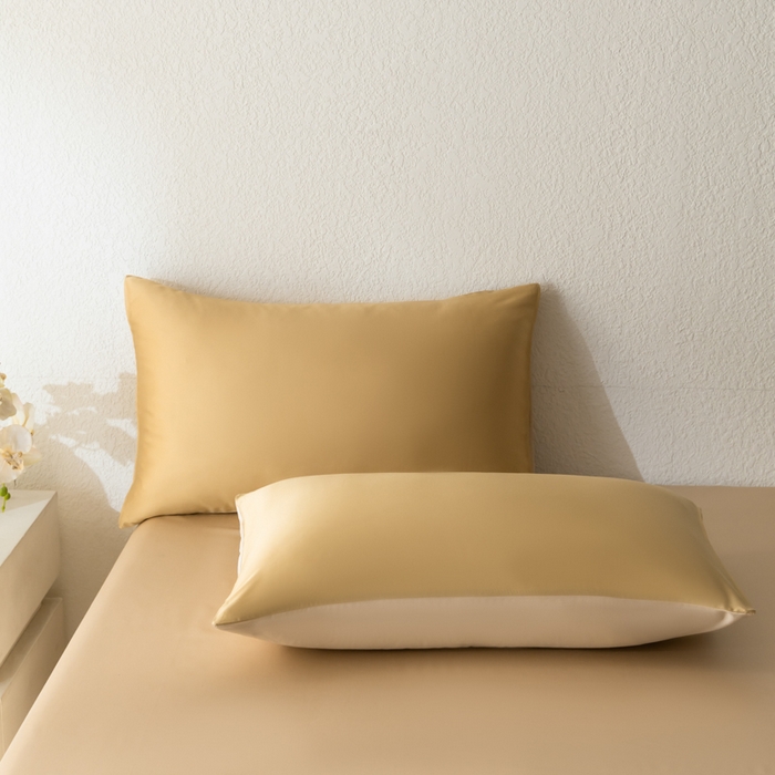 91家纺网 家纺一手货源 找家纺 禾时 2026新款60支奥地利兰精双拼纯色天丝四件套 芝士黄-沙茶色