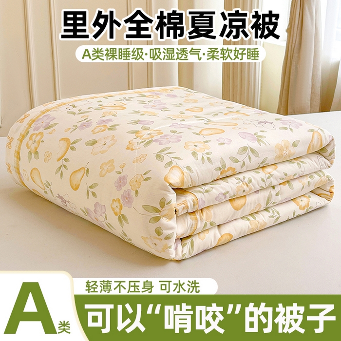 91家纺网 家纺一手货源 找家纺 格子铺 2026新款全棉纯棉印花棉花夏被夏凉被空调被 淡梨语