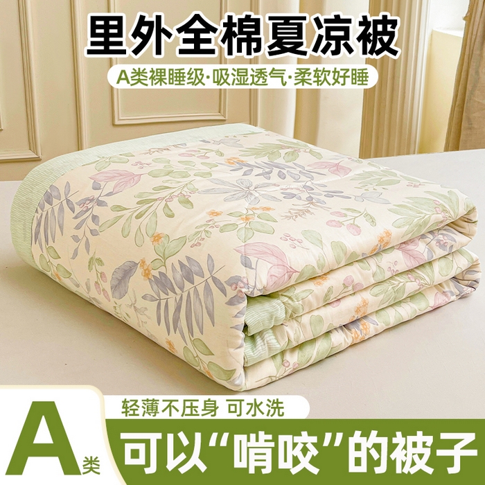 格子铺 2026新款全棉纯棉印花棉花夏被夏凉被空调被 青岚叶语紫