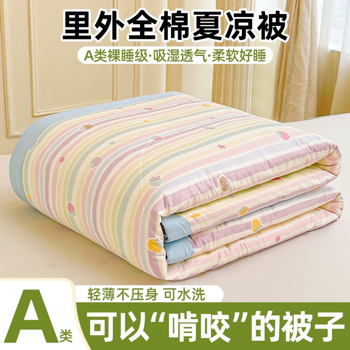 格子铺 2026新款全棉纯棉印花棉花夏被夏凉被空调被 五彩草莓
