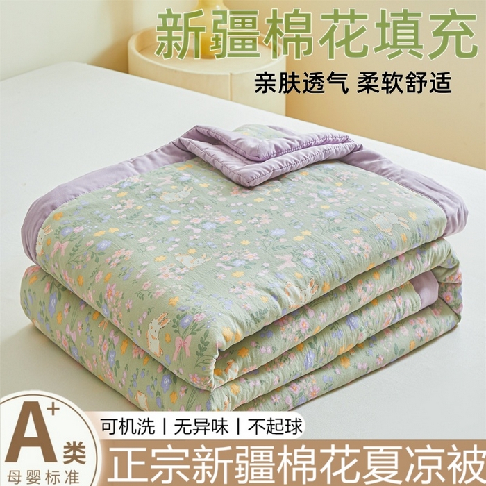 爱屋及屋 2026新款小清新水洗棉棉花夏被夏凉被空调被 春意