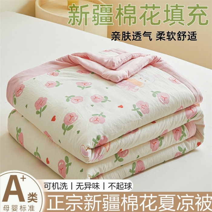 爱屋及屋 2026新款小清新水洗棉棉花夏被夏凉被空调被 曼塔玫瑰