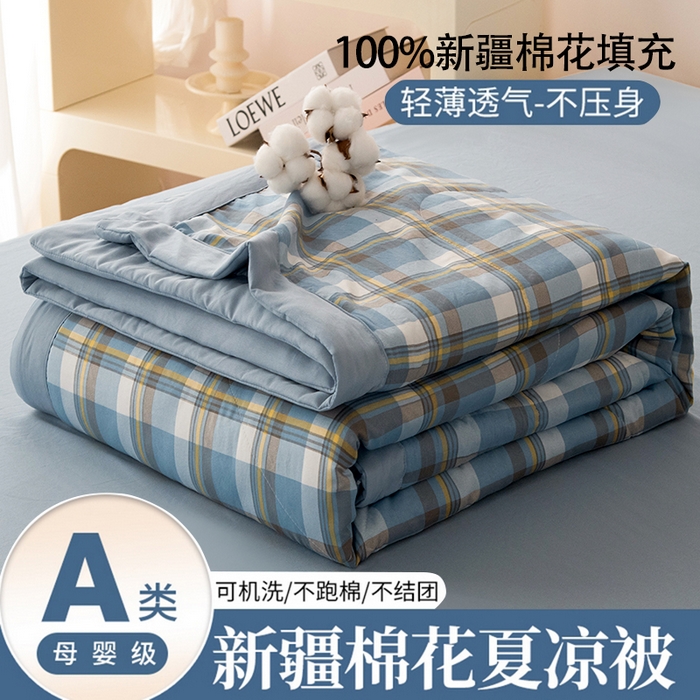 禹祥家纺 2026新款水洗棉A类100%新疆棉花填充夏被可机洗空调被夏凉被学生被被子被芯 雅致格-蓝