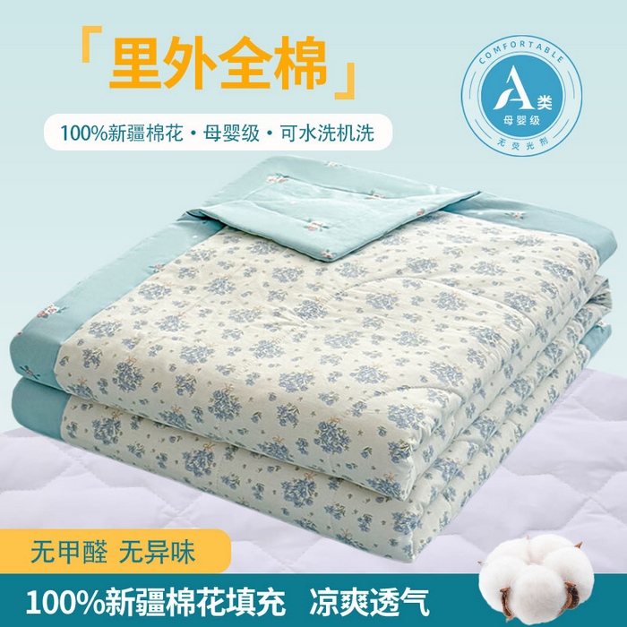 禹祥家纺 （包质检）2026新款A类里外全棉新疆棉夏被夏凉被空调被儿童被 初春伊语