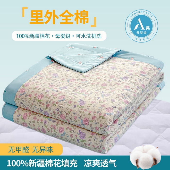 禹祥家纺 （包质检）2026新款A类里外全棉新疆棉夏被夏凉被空调被儿童被 青葱岁月