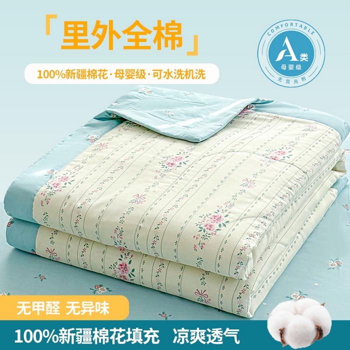 禹祥家纺 （包质检）2026新款A类里外全棉新疆棉夏被夏凉被空调被儿童被 半岛花园