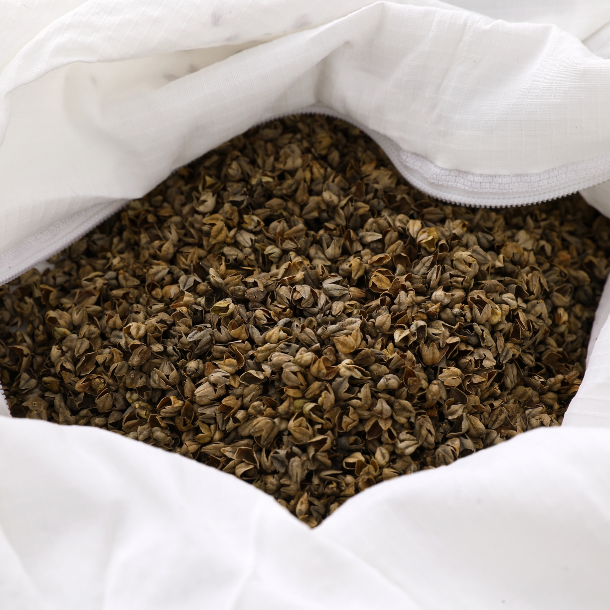 91家纺网 家纺一手货源 找家纺 （总）芯洲 2026新款全棉双层纱云朵可爱荞麦枕刺绣抱枕枕头枕芯