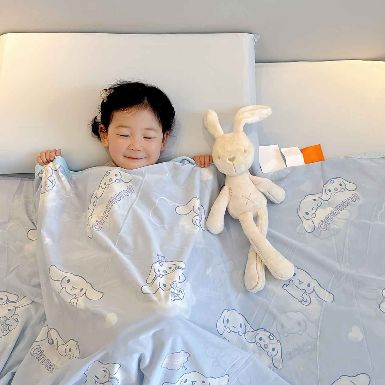 91家纺网 家纺一手货源 找家纺 兜米家居 2026新款A类母婴级三丽鸥凉感毯 玉桂狗