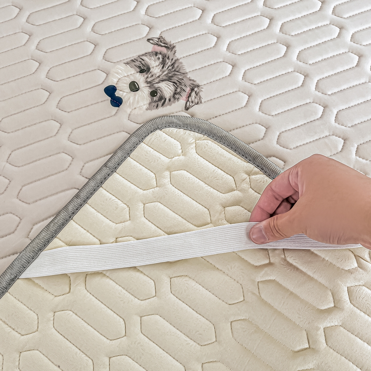 91家纺网 家纺一手货源 找家纺 摩妮卡 2026新款数码大版小清新乳胶凉席床席款三件套-场景一 热情大狗狗