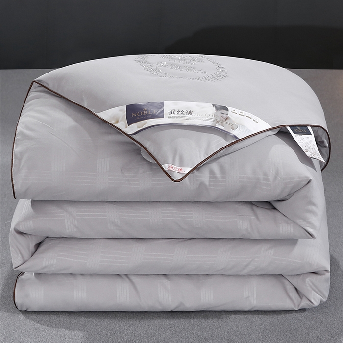前程家纺2025被夏被春秋被冬被芯双胎被二合一拉链款子母被绅士灰