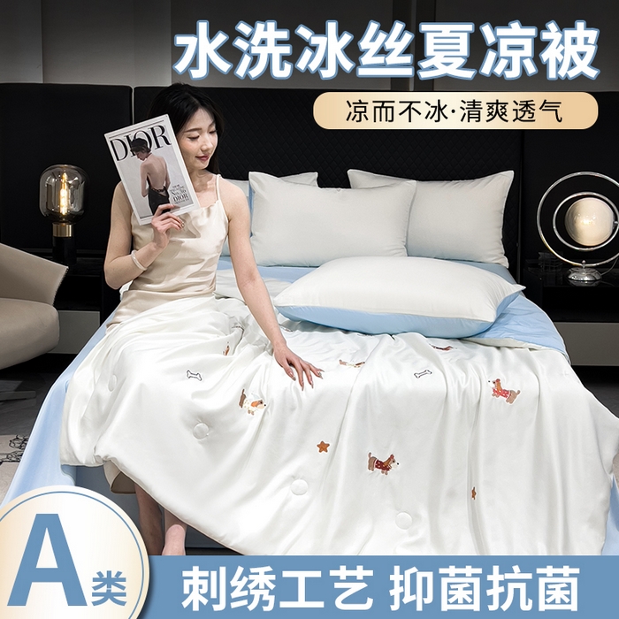 憨豆家纺 2026新款刺绣水洗冰丝夏被四件套星球水洗真丝夏凉被（含抗菌棉）跨境外贸床笠款空 腊肠狗-奶白蓝