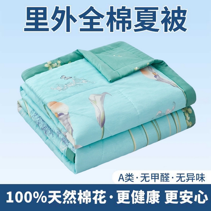91家纺网 家纺一手货源 找家纺 （总）黛妮雅 2026新款全棉印花棉花被纯棉单件夏被夏凉被空调被 夏被四件套