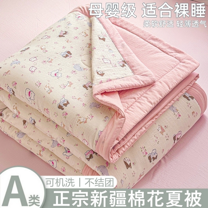 爱屋及屋 2026新款小清新双层纱宽包边棉花被夏凉被空调被夏被 春日小猫