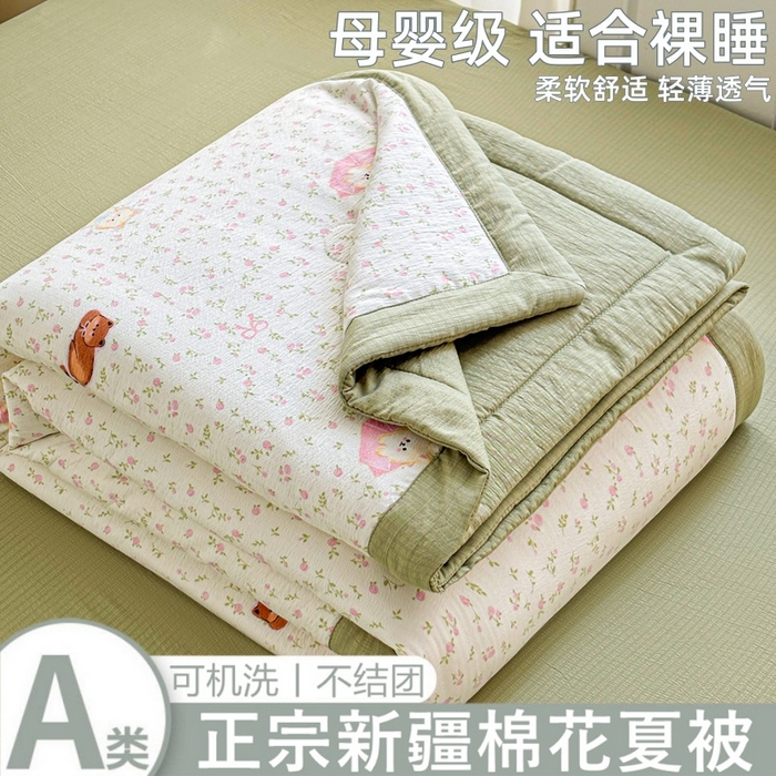 爱屋及屋 2026新款小清新双层纱宽包边棉花被夏凉被空调被夏被 治愈小猫