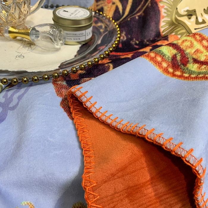 91家纺网 家纺一手货源 找家纺 色鬼布艺高端家居主号 2026新款银狐绒毯 卫士