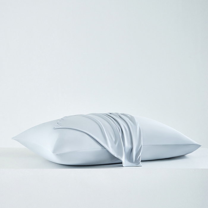 91家纺网 家纺一手货源 找家纺 LADYCOCO可可家居 2026新款coolmate多巴胺色系凉感枕套 枕套-灰