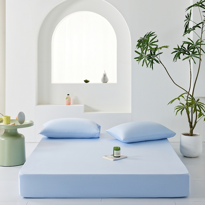 91家纺网 家纺一手货源 找家纺 （总）LADYCOCO可可家居 2026新款PE冰锦丝语床笠枕套