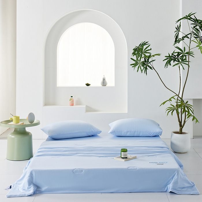 91家纺网 家纺一手货源 找家纺 （总）LADYCOCO可可家居 2026新款PE冰锦丝语夏凉被