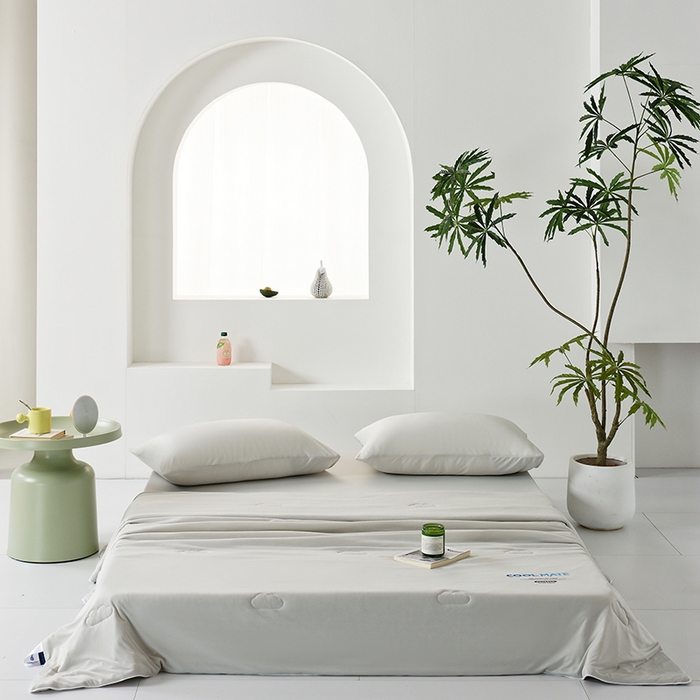 LADYCOCO可可家居 2026新款PE冰锦丝语夏凉被 夏夜灰