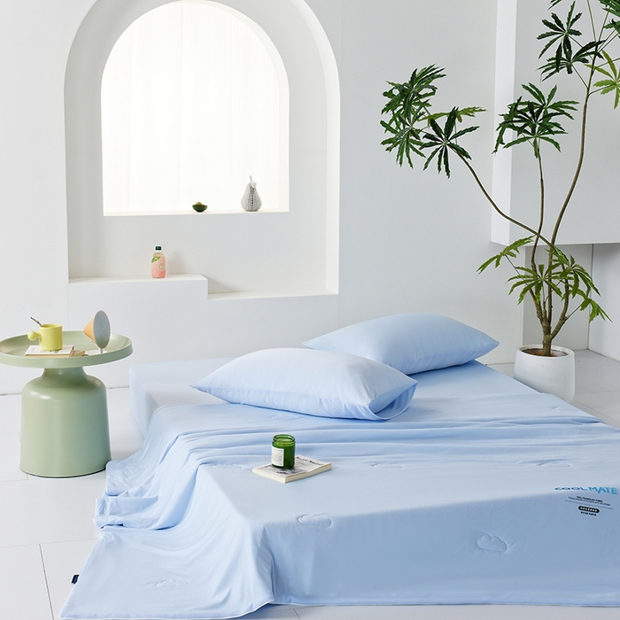 91家纺网 家纺一手货源 找家纺 LADYCOCO可可家居 2026新款PE冰锦丝语夏凉被 微风蓝