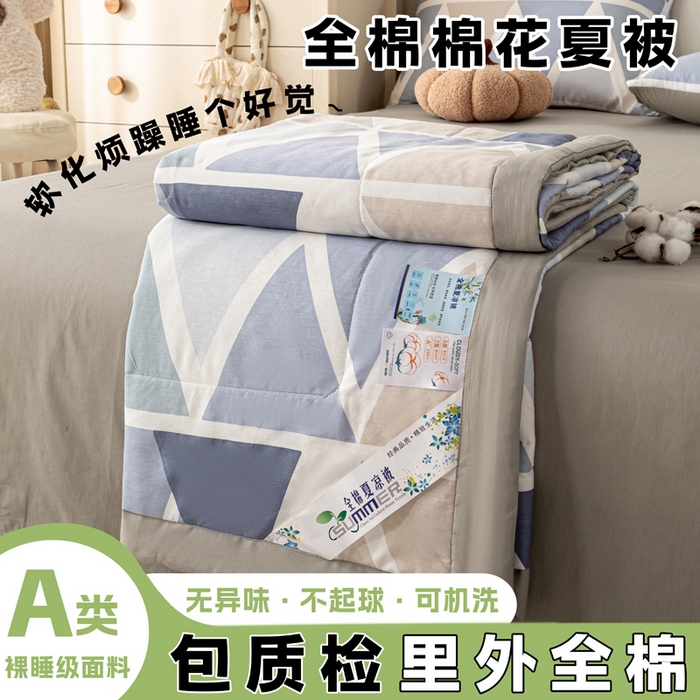 91家纺网 家纺一手货源 找家纺 （总）红日子纺织品 2026新款里外全棉纯棉印花夏被夏凉被空调被