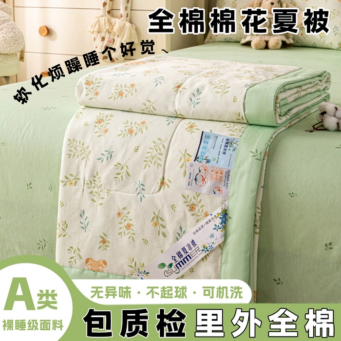 红日子纺织品 2026新款里外全棉纯棉印花夏被夏凉被空调被 丽都倩影