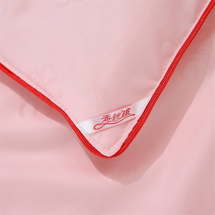 91家纺网 家纺一手货源 找家纺 芭芭棉家纺 2026新款防全棉蚕丝蛋白被春秋被冬被子子母被拉链款被芯 cc-玉