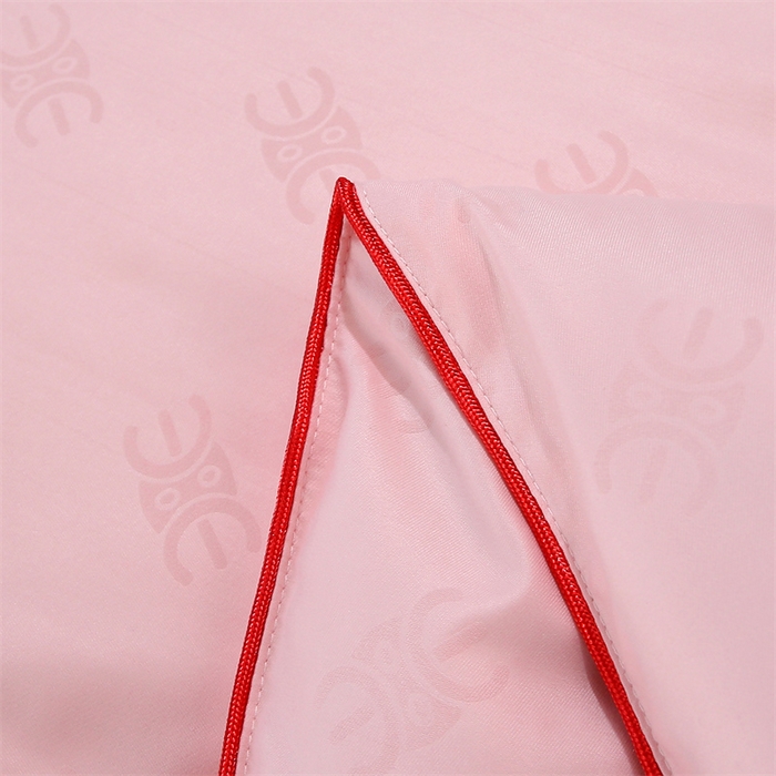 91家纺网 家纺一手货源 找家纺 芭芭棉家纺 2026新款防全棉蚕丝蛋白被春秋被冬被子子母被拉链款被芯 cc-玉