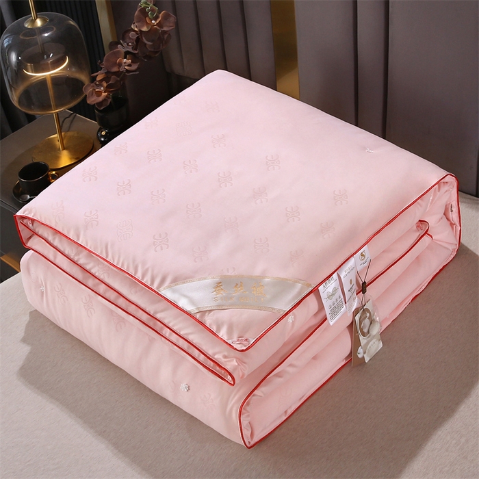 91家纺网 家纺一手货源 找家纺 芭芭棉家纺 2026新款防全棉蚕丝蛋白被春秋被冬被子子母被拉链款被芯 cc-玉