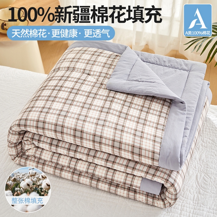 海洋家纺 2026新款100%新疆棉花格子夏被亲肤仿棉夏凉被纯手包边空调被薄被子 都市