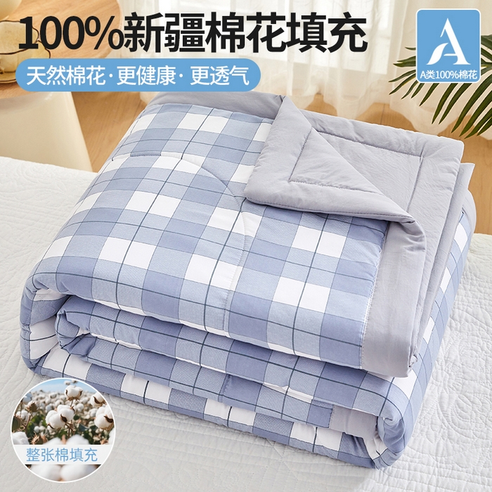 海洋家纺 2026新款100%新疆棉花格子夏被亲肤仿棉夏凉被纯手包边空调被薄被子 简约-蓝
