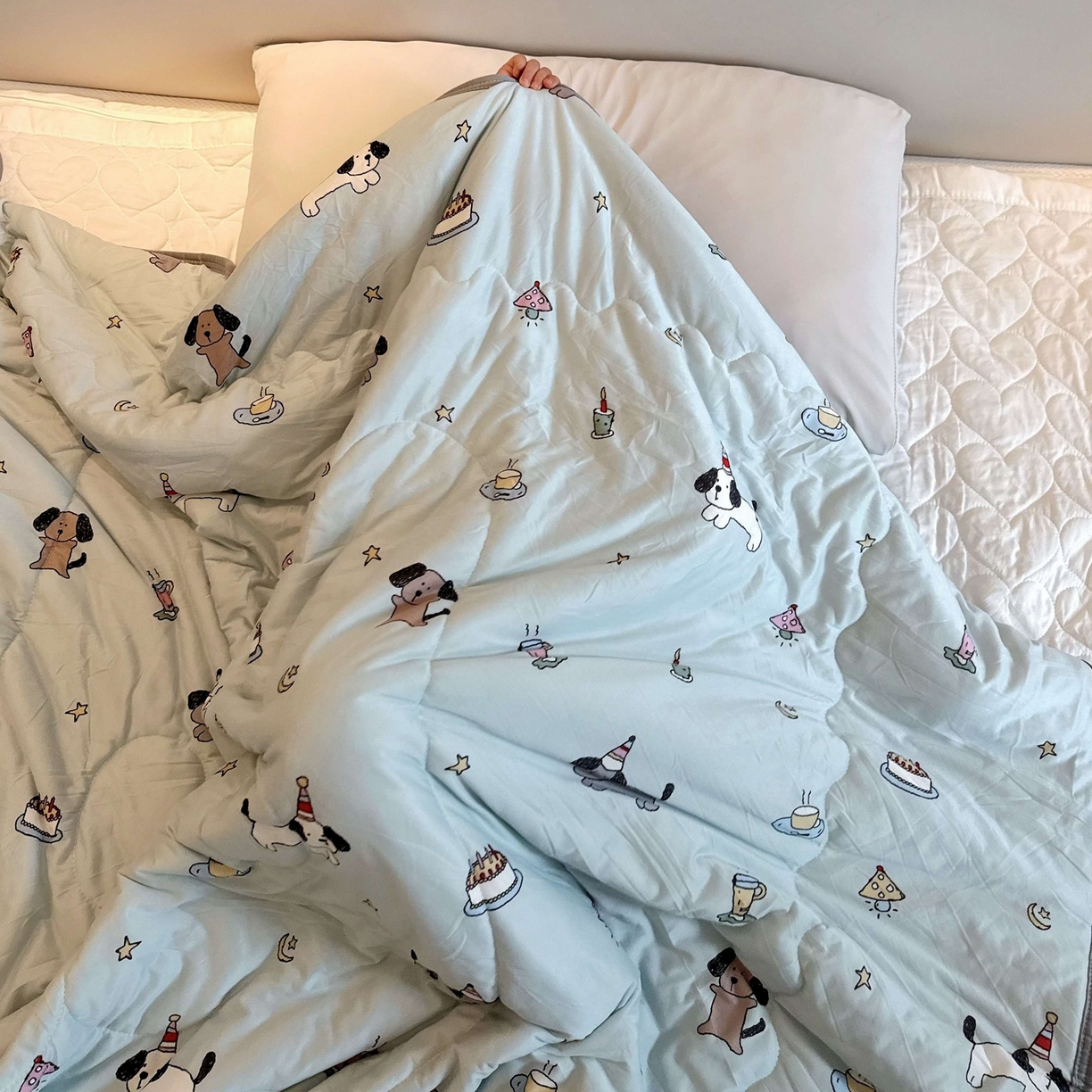 91家纺网 家纺一手货源 找家纺 兜米家居 2026春夏新款针织夏被夏凉被空调被 蛋糕腊肠狗