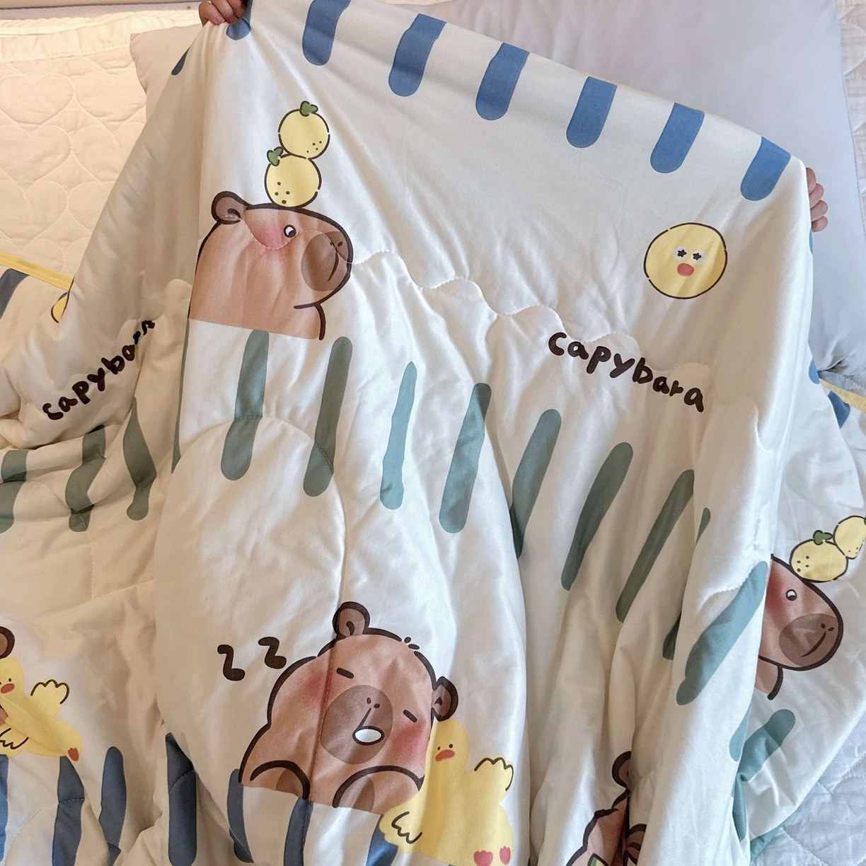 91家纺网 家纺一手货源 找家纺 兜米家居 2026春夏新款针织夏被夏凉被空调被 卡皮巴拉