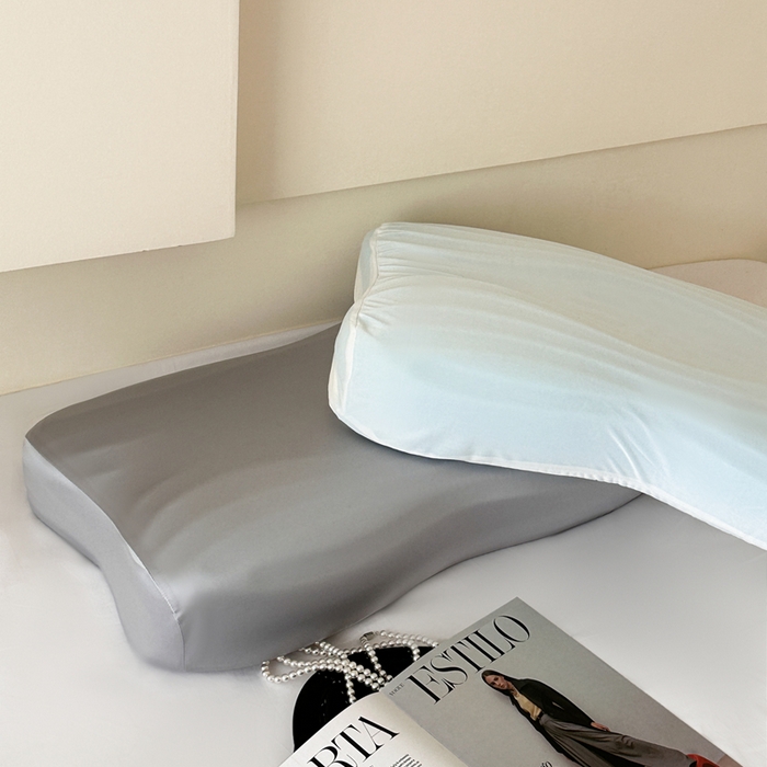 91家纺网 家纺一手货源 找家纺 （总）伟邦枕芯 2026新款叠云双层枕记忆枕头枕芯