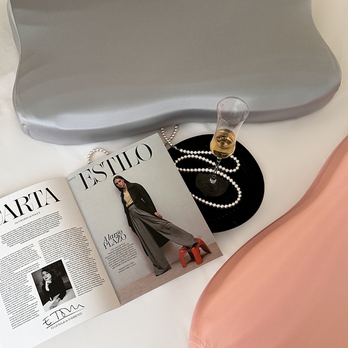 91家纺网 家纺一手货源 找家纺 伟邦枕芯 2026新款叠云双层枕记忆枕头枕芯 女款