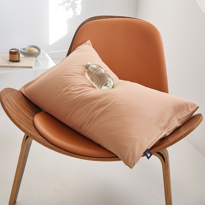 2026新款A类40S全棉糯感大雁纹提花单品枕套 香槟金