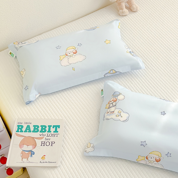 91家纺网 家纺一手货源 找家纺 良佐生活  2026年新款铂金全棉压线枕套 太空探险