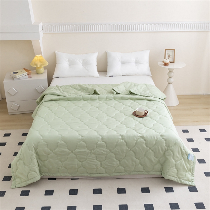 91家纺网 家纺一手货源 找家纺 梵心家纺 2026新款跨境爆款素色纯色水洗棉被TEMU热销夏被夏凉被空调 萌芽绿