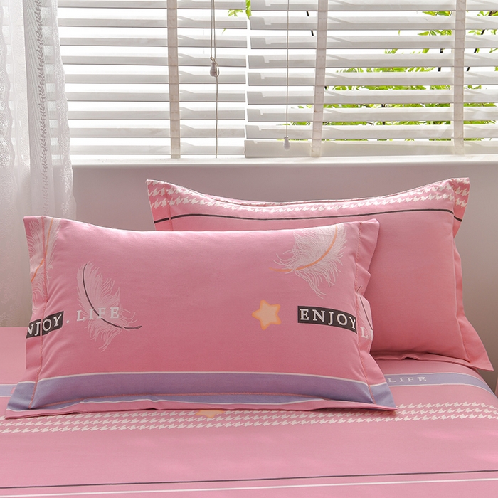 91家纺网 家纺一手货源 找家纺 幸嘉轩 2025新款全棉秋冬加厚保暖喷气磨毛纯棉印花四件套 羽彩飞-粉