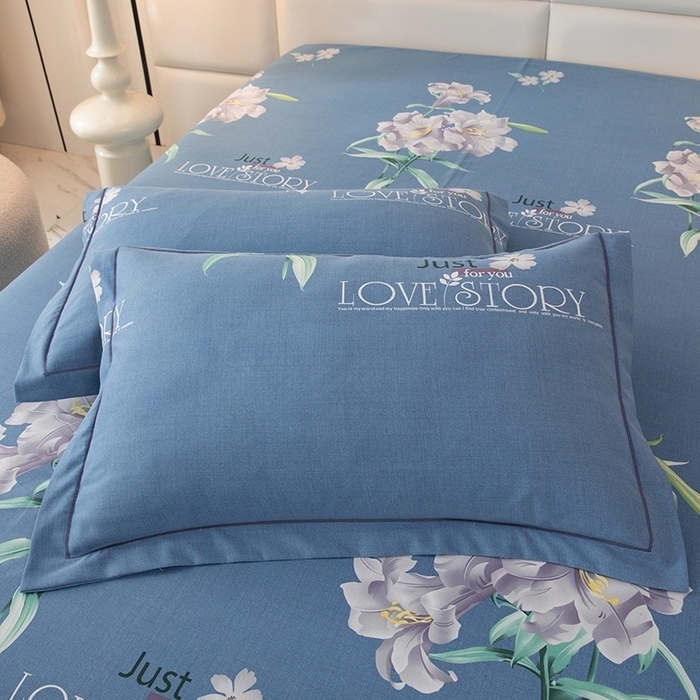 91家纺网 家纺一手货源 找家纺 幸嘉轩 2025新款全棉秋冬加厚保暖喷气磨毛纯棉印花四件套 海棠花园