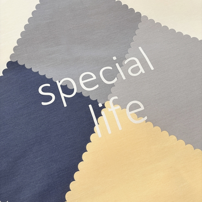 91家纺网 家纺一手货源 找家纺 宇彬家纺 2026新款13070A类全棉纯棉印花单被套被套单件-一字绣工艺款系列 一字绣 简爱